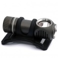 LED �elovka ZebraLight H31w